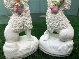 PAIR: MID 19thC STAFFORDSHIRE POODLE DOGS WITH BASKETS IN MOUTHS c1840s 3