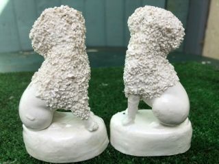 PAIR: MID 19thC STAFFORDSHIRE POODLE DOGS WITH BASKETS IN MOUTHS c1840s 5