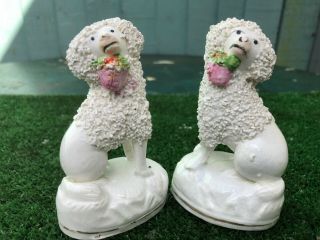 PAIR: MID 19thC STAFFORDSHIRE POODLE DOGS WITH BASKETS IN MOUTHS c1840s 7