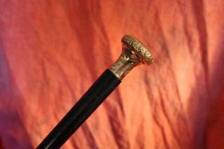 Victorian Gold Topped Cane Brass & Iron Tip Fine Tapered Shaft