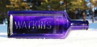 Large Antique Watkins Bottle Pretty Purple Paneled Patent Medicine