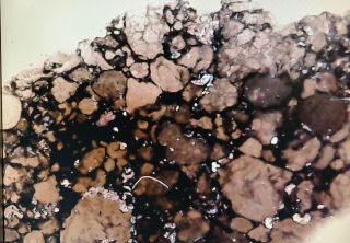 Victorian Microscope Slide rare meteorite L3.  7 geology asteroid mineral old 1852 4