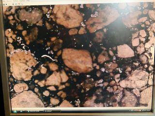 Victorian Microscope Slide rare meteorite L3.  7 geology asteroid mineral old 1852 7