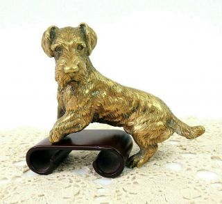 Antique 1920s Austrian Cold Painted Bronze Terrier Dog Figurine Sculpture Signed