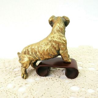 Antique 1920s Austrian Cold Painted Bronze Terrier Dog Figurine Sculpture SIGNED 3