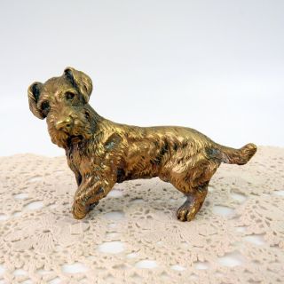 Antique 1920s Austrian Cold Painted Bronze Terrier Dog Figurine Sculpture SIGNED 4