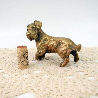 Antique 1920s Austrian Cold Painted Bronze Terrier Dog Figurine Sculpture SIGNED 5