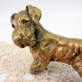 Antique 1920s Austrian Cold Painted Bronze Terrier Dog Figurine Sculpture SIGNED 6
