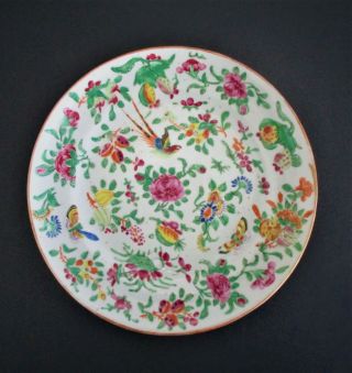 Antique Chinese Famille Rose Celadon Porcelain Plate