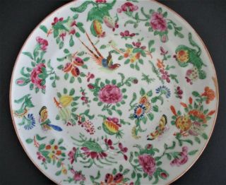 Antique Chinese Famille Rose Celadon Porcelain Plate 2