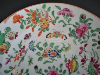 Antique Chinese Famille Rose Celadon Porcelain Plate 5