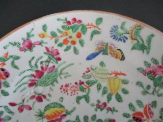 Antique Chinese Famille Rose Celadon Porcelain Plate 6