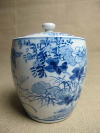 Chinese Antique Blue & White Ginger Jar With Lid