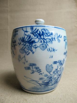 Chinese Antique Blue & White Ginger Jar with Lid 2