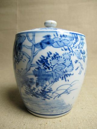 Chinese Antique Blue & White Ginger Jar with Lid 3