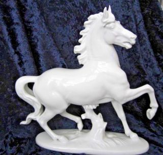 Rosenthal Horse Figurine Artist Signed 1136 C.  1955 Artist Signed Prof T.  K