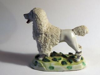 Antique Porcelain Staffordshire Poodle Dog Gold Anchor Mark Germany Elfin Grass