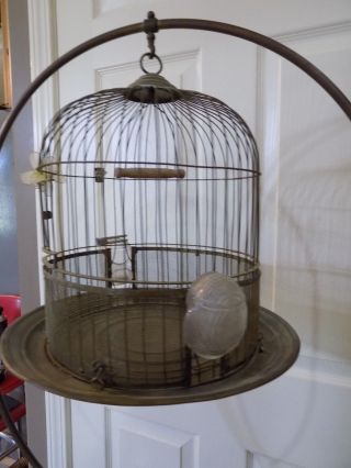 Vintage Brass and Steel Oval Floor Standing Bird Cage circa 1930 - 1940 (r - 14) 3