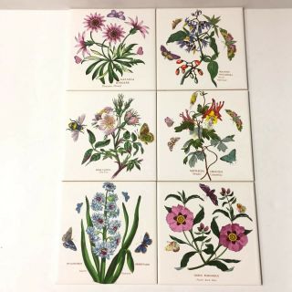 Set 6 Portmeirion Tiles Hot Plate Trive Wildflowers Floral