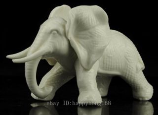 Old Chinese hand - carved white glaze porcelain Elephant statue/VR b01 2