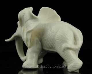 Old Chinese hand - carved white glaze porcelain Elephant statue/VR b01 3