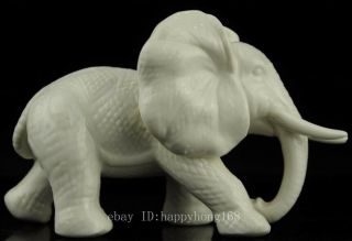 Old Chinese hand - carved white glaze porcelain Elephant statue/VR b01 4