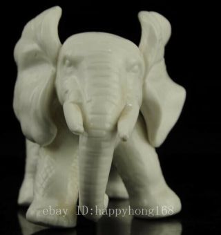 Old Chinese hand - carved white glaze porcelain Elephant statue/VR b01 5