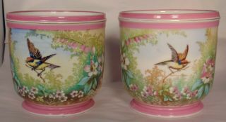 2 French German Handpainted Porcelain Cachepot Vase Birds Flower Pot Planters