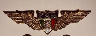 Mexico,  Air Force Badge 3