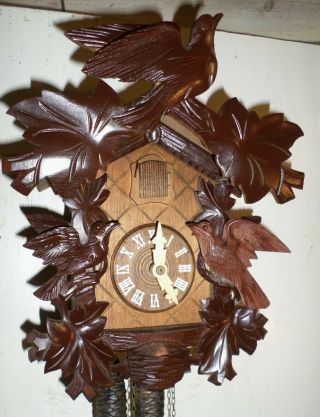 Unusual German Black Forest Schneider & Sons 3 Birds & Nest Cuckoo Clock