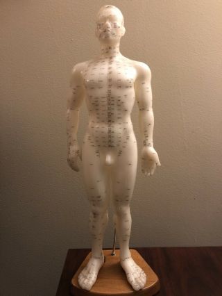 Vintage Chinese Anatominal Man With Acupuncture Points And Meridians