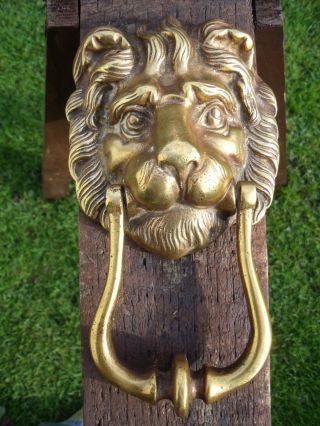 Antique Lion Head Brass Door Knocker 8 " Weighs 1lb 10 Oz