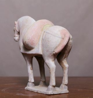 Great Chinese Wei Dynasty Pottery Old Statue Clay Stand Horse Sculpture HB77 6