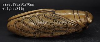 Collectible Chinese Antique Brass Carved Lucky Cicada Statue E01