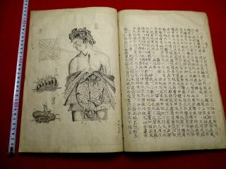 3 - 20 Japanese European Medicine Hand - Writing Manuscript Pictures Book