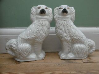 Pr 19thc Staffordshire White Spaniel Dogs With Curly Tails C.  1870