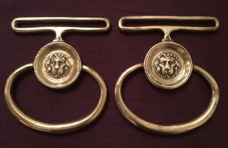 Victorian Brass Servant Bell Pull Handles Pair Lions Head Medallion 19th Century 2