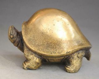 Chinese Old Fengshui Pure Copper Hand - Carved Tortoise Statue C01