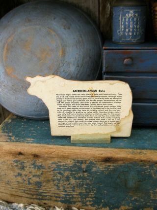Antique Cardboard Farm Animal Cutout Wood Stand Aberdeen Angus Bull FreeShipping 2