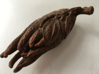 Antique Chinese Carved Wood Buddha ' s Hand Citron.  Bamboo root. 6