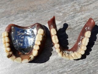 Vintage Authentic Dentures False Fake Teeth 2 Gold Fillings silver lining? 4