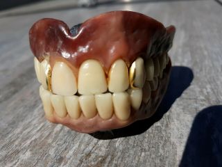 Vintage Authentic Dentures False Fake Teeth 2 Gold Fillings silver lining? 6