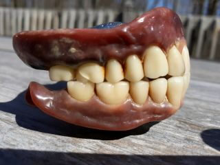 Vintage Authentic Dentures False Fake Teeth 2 Gold Fillings silver lining? 7