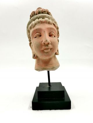 Attractive Gandhara Culture Ca.  100 Ad Stucco Head Of Buddha - Rare - R474