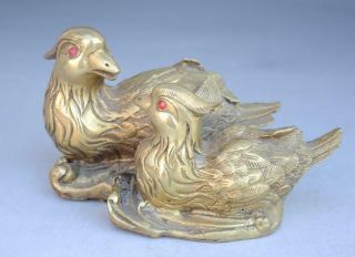 Old Chinese Copper Fengshui Two Mandarin Duck Bird Statue E01