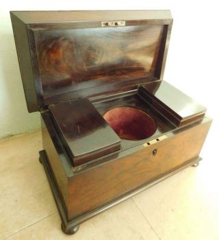 English Mahogany Tea Caddy C1800s Casket Form Box