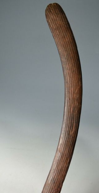 Good Rare Old 19th C Aboriginal Boomerang Fluted Oceanic Polynesian Australian