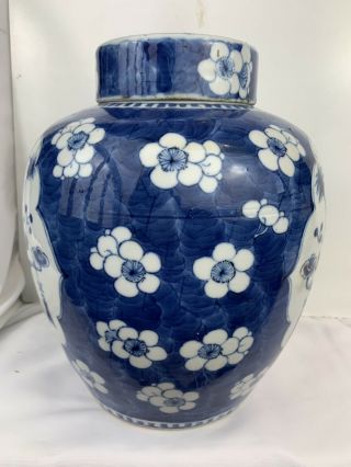 large antique chinese ginger jar and cover 25.  5cm 2