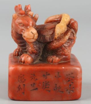 Chinese Exquisite Hand - Carved Dragon Turtle Snake Carving Shoushan Stone Seal