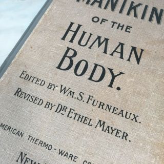 Antique Circa 1900 ' s Dr Minder ' s Anatomical Manikin of The Human Body Book 2